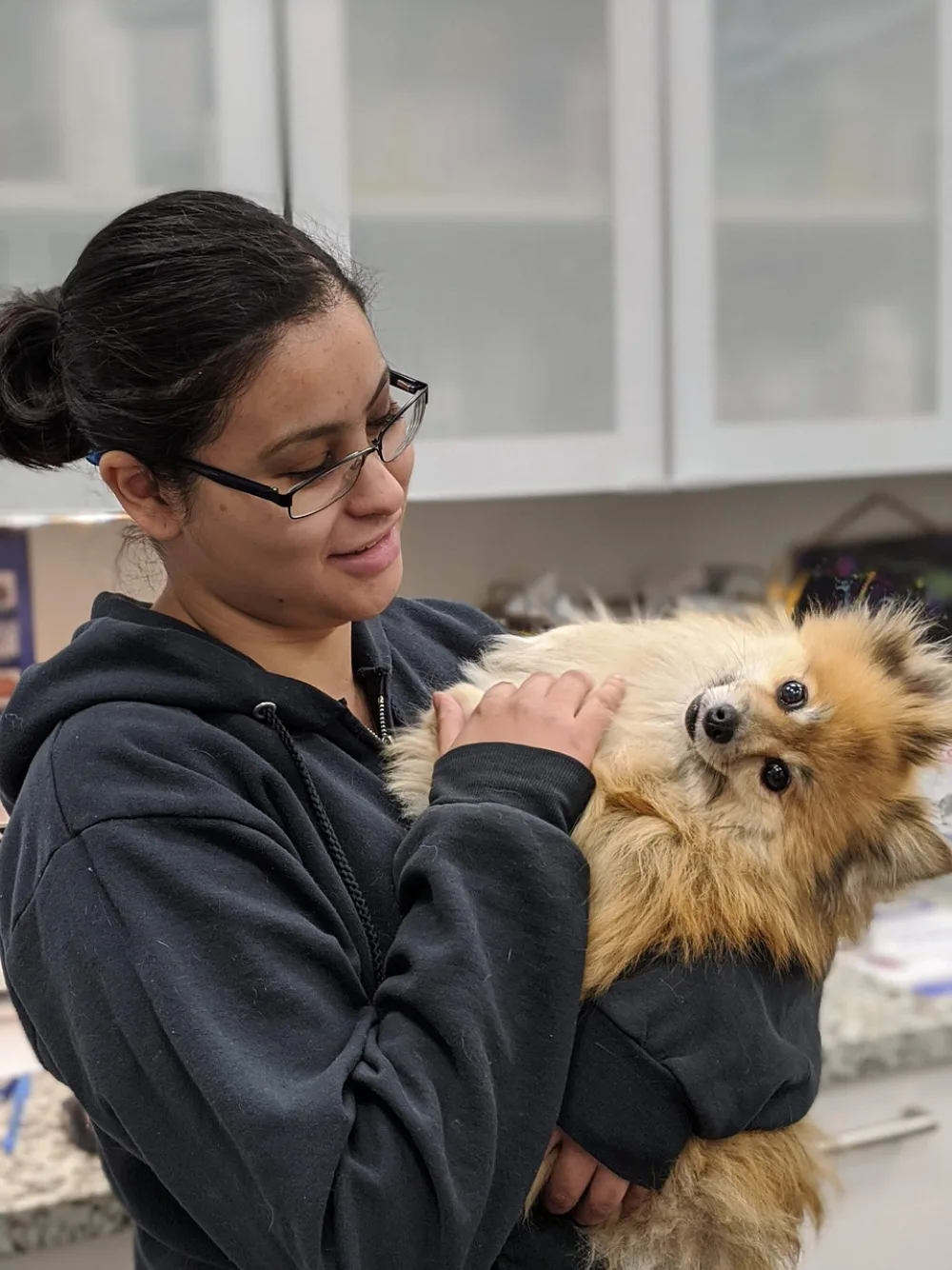 A member of clinic staff holding a small dog in an exam room